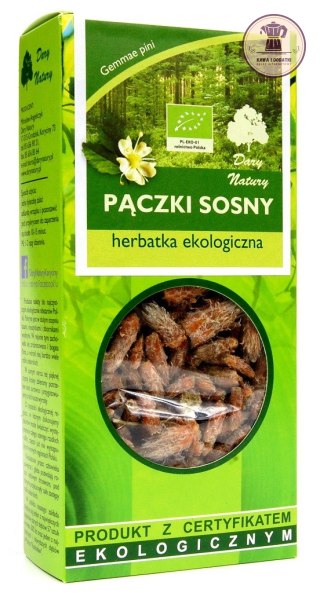 HERBATKA PĄCZKI SOSNY BIO 50 g - DARY NATURY