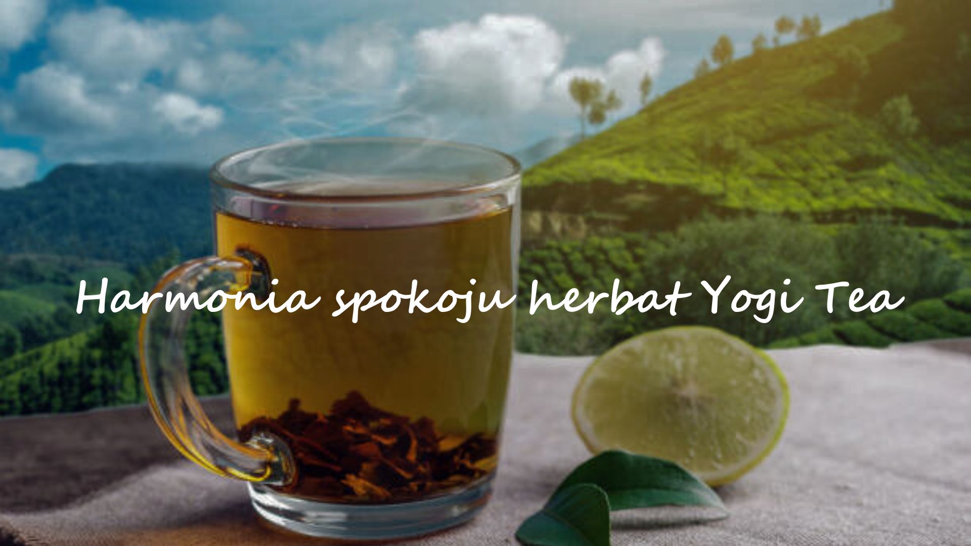 Harmonia spokoju - herbatki Yogi Tea