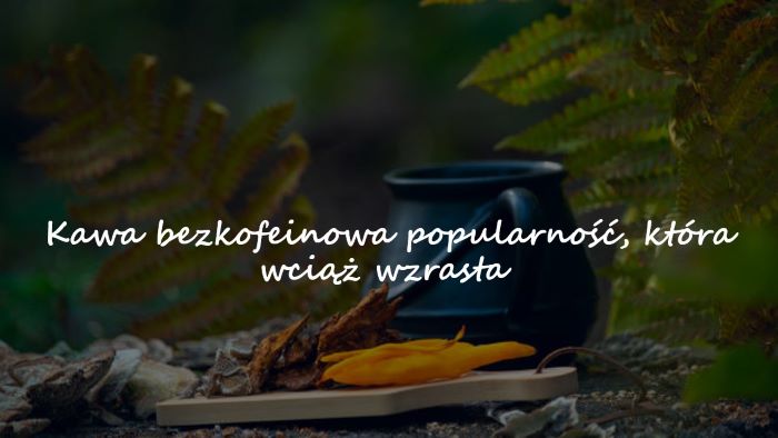 Kawa bezkofeinowa. Popularność, która wciąż wzrasta!