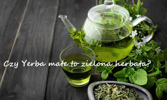 Czy Yerba Mate to zielona herbata?